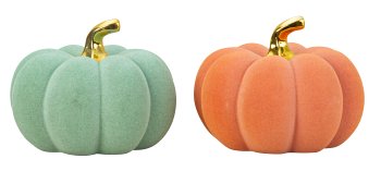 Halloween pumpkin in orange & mint green