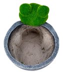 Frog green with plant pot h=23cm