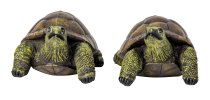 Schildkröte (S) h=10cm l=18cm sort.