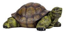 Turtle (L) h=25cm l=56cm