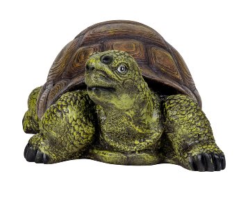 Turtle (L) h=25cm l=56cm