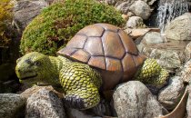 Turtle (XL) h=35cm l=85cm