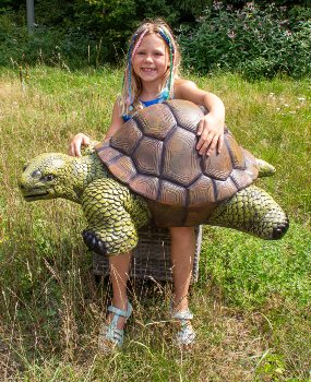 Turtle (XL) h=35cm l=85cm