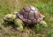 Turtle (XL) h=35cm l=85cm