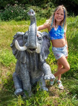 Elephant h=118cm w=53cm d=85cm