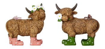 Cute highland cows with rubber boot