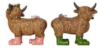 Cute highland cows with rubber boot