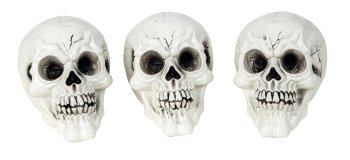 Set of 3 plastic Halloween-skulls h=14cm