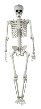 Halloween-Skelett h=153cm zum Hängen