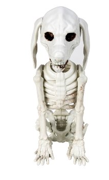 Halloween-Hunde-Skelett sitzend h=25cm