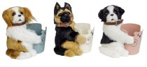 Dog with cup h=19cm w=15cm asst.