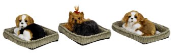 Lying dog with shaking tail (touch