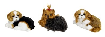 Lying dog with shaking tail (touch