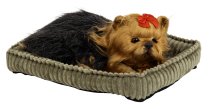 Lying dog with moving head in basket