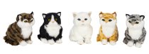 Cats sitting h=13cm w=11cm asst.