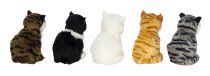 Katzen sitzend h=13cm b=11cm sort.
