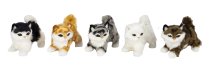 Cats standing h=10cm w=12,5cm asst.