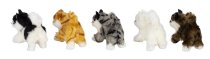 Katzen stehend h=10cm b=12,5cm sort.