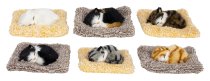 Cat 9cm lying on pillow 14x13cm asst.