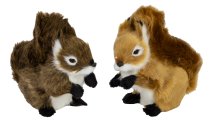 Squirrel h=14cm w=15cm assort.