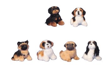 Dogs sitting h=8-8,5cm w=8,5cm assort.