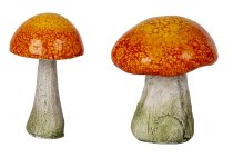 Mushrooms red/orange standing