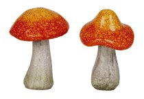 Mushrooms red/orange standing h=21cm