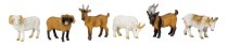 Goat white and brown h=7-8cm w=9cm,