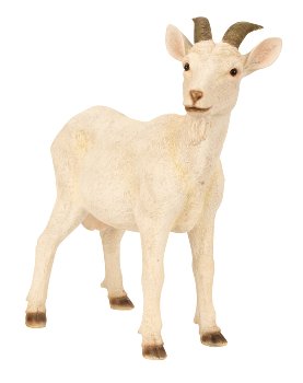 Goat white standing h=48cm w=48cm