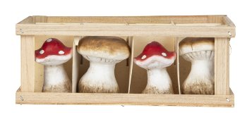 Decoration mushrooms 7,5cm in wooden box