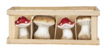 Decoration mushrooms 7,5cm in wooden box