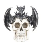 Skull with dragon h=17cm w=17cm