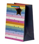 present bag colorful with stars