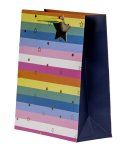 present bag colorful with stars