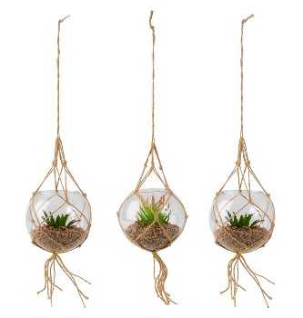 Glass for hanging with artificial cactus