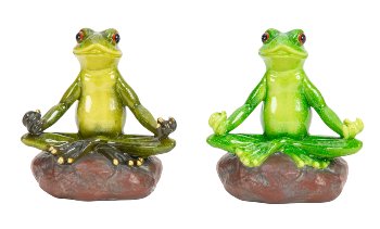 Frosch sitzend auf Stein in Yoga