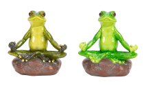 Frosch sitzend auf Stein in Yoga