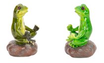 Frosch sitzend auf Stein in Yoga