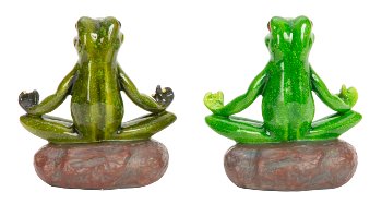 Frosch sitzend auf Stein in Yoga