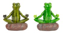 Frosch sitzend auf Stein in Yoga
