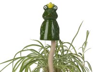 Sound garden stick offended frog with