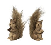 Squirrel with furry tail & acorn in hand