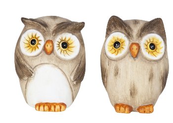 Owl standing in brown with big eyes