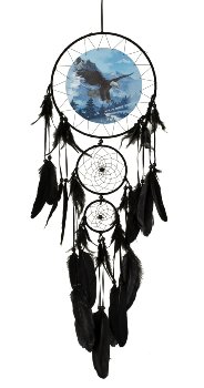 Dreamcatcher with sea eagle design &