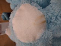 B-quality! Bear light blue sitting