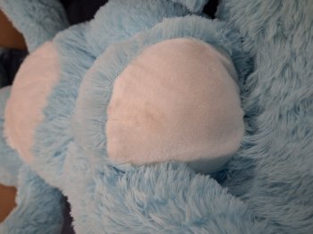 B-quality! Bear light blue sitting