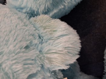 B-quality! Bear light blue sitting