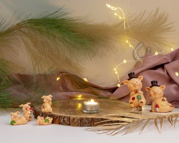 Schweinchen mit Glückssymbolen &