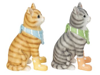 Cats in grey & orange with shoes and