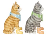 Cats in grey & orange with shoes and